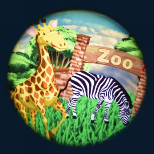 At The Zoo - 6" Picture Wheel