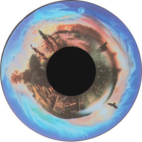 Avalon Dawn - 6" Picture Wheel