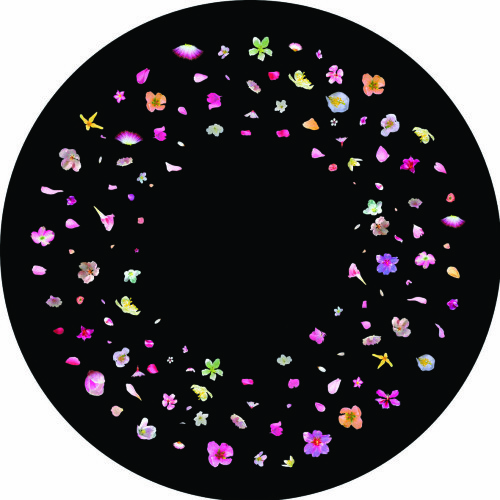 Blossom (Colour) - 6" Picture Wheel