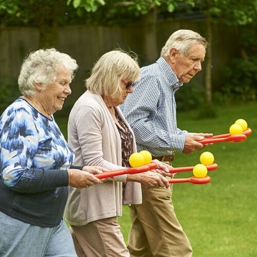 Balancing Ball Set