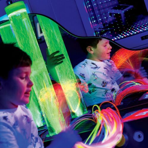 UV Sensory Centre