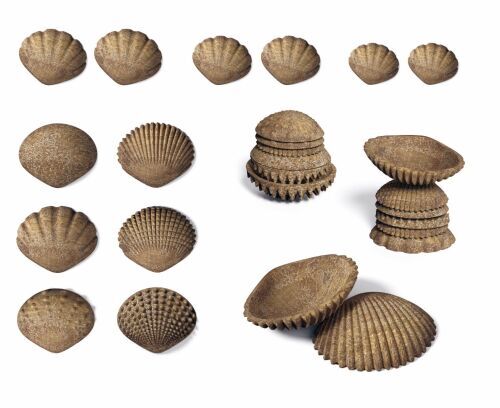 Eco Friendly Tactile Shells