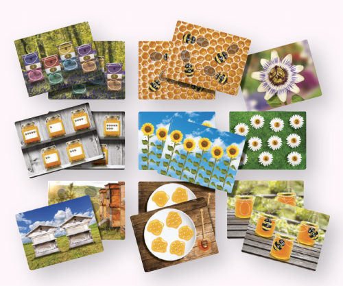 Honey Bee Number Cards