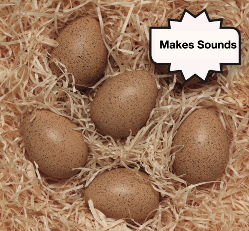 Sensory Sound Eggs